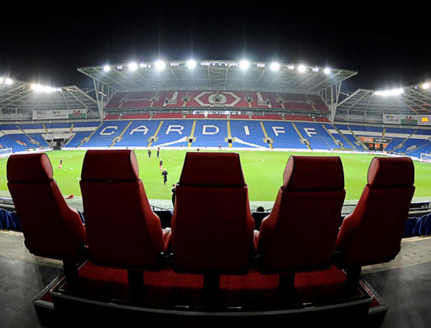 Stadium Night 800X800